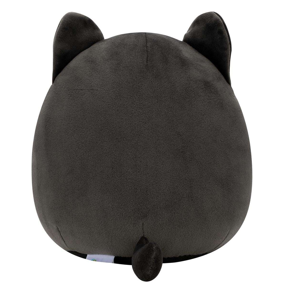 Squishmallows - Squishmallows 8" Autumn the Black Cat with Purple Belly | Jazwares