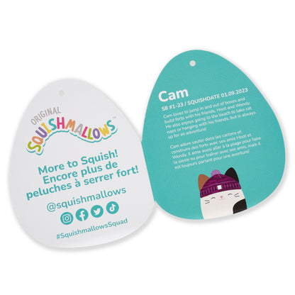 Squishmallows - Squishmallows 14" Cam Calico Cat with Purple Hat | Jazwares