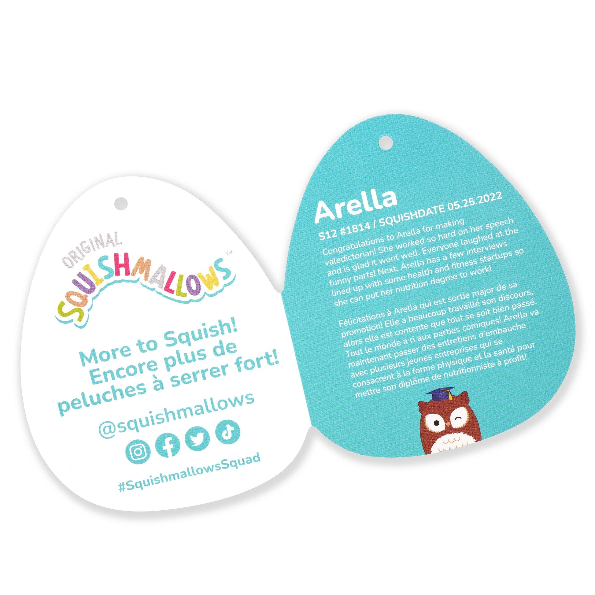 Squishmallows - Squishmallows 12" Arella the Brown Owl in Graduation Cap | Jazwares