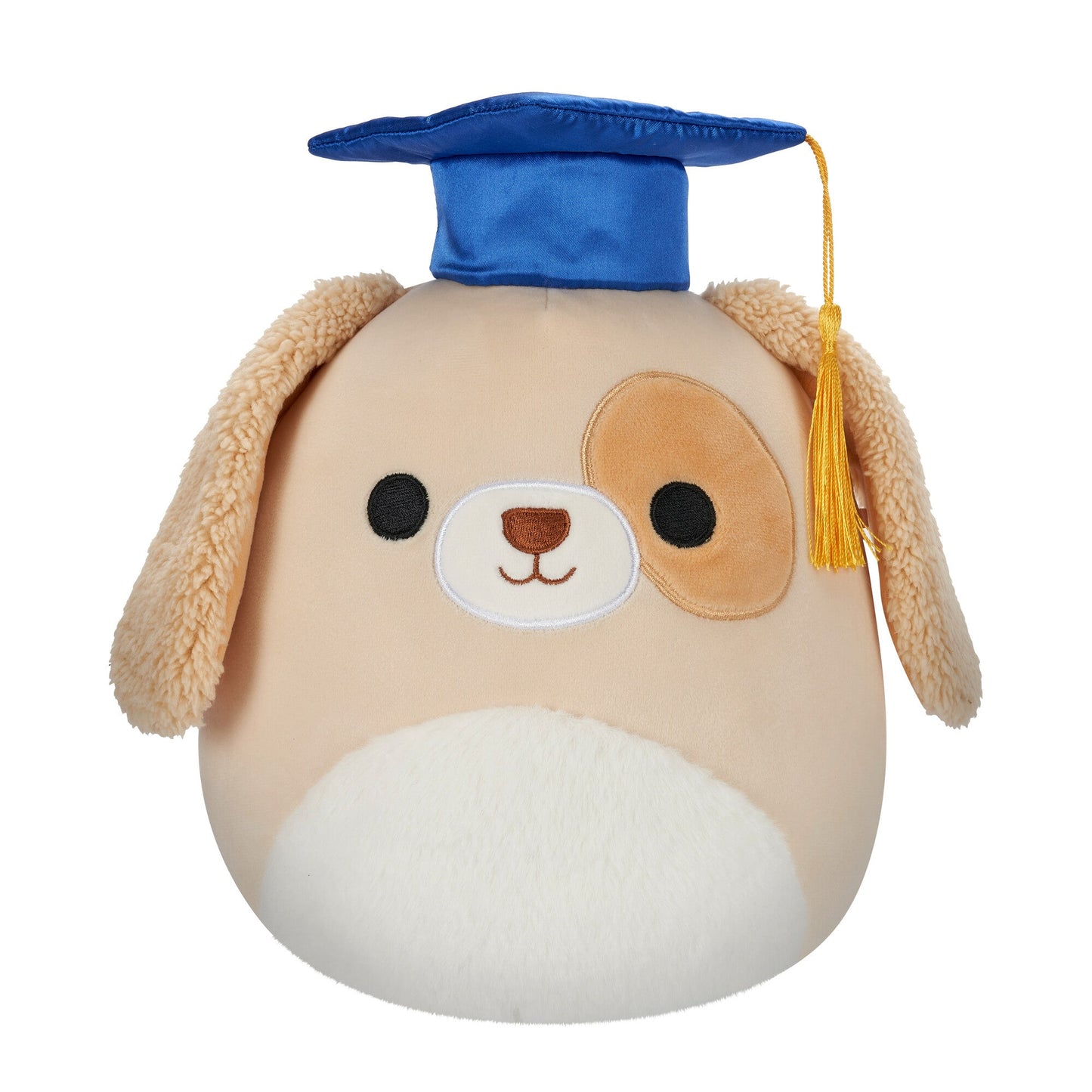 Squishmallows - Squishmallows 8" Harris the Brown Spotted Dog in Graduation Cap | Jazwares