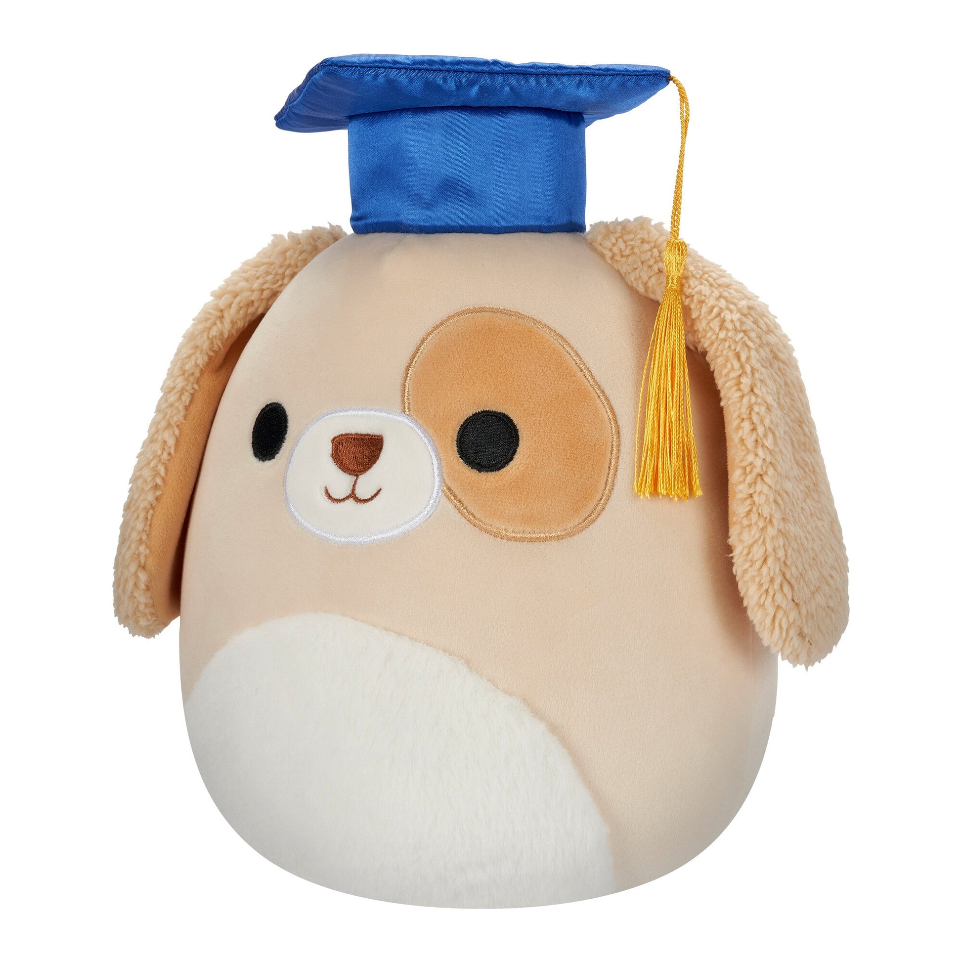 Squishmallows - Squishmallows 8" Harris the Brown Spotted Dog in Graduation Cap | Jazwares