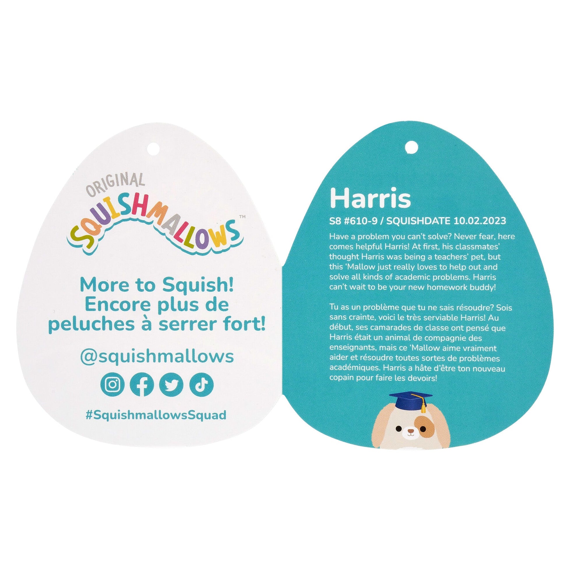 Squishmallows - Squishmallows 8" Harris the Brown Spotted Dog in Graduation Cap | Jazwares