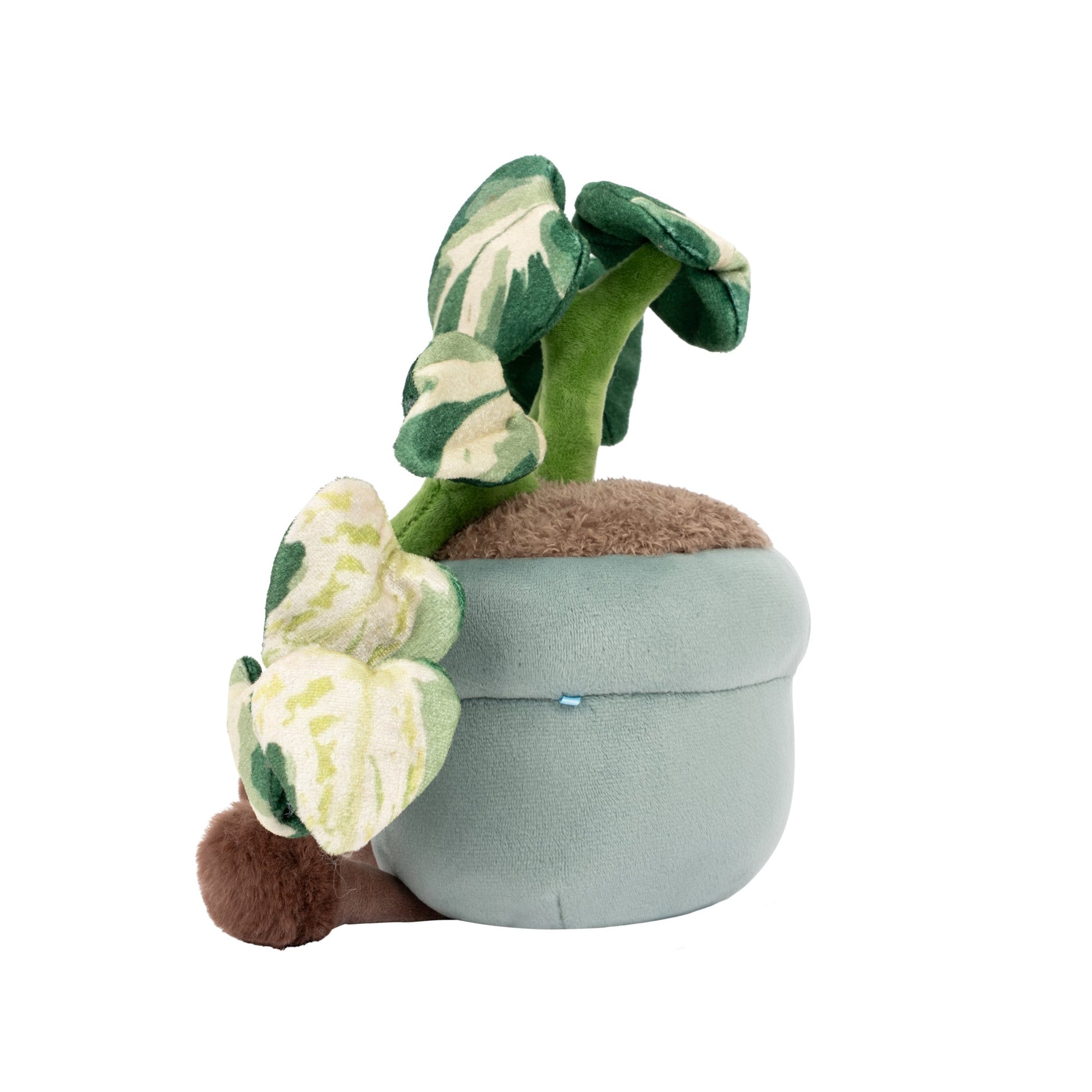 Squishmallows - Greenhouse by Russ 12" Pothos Plant Plush | Jazwares