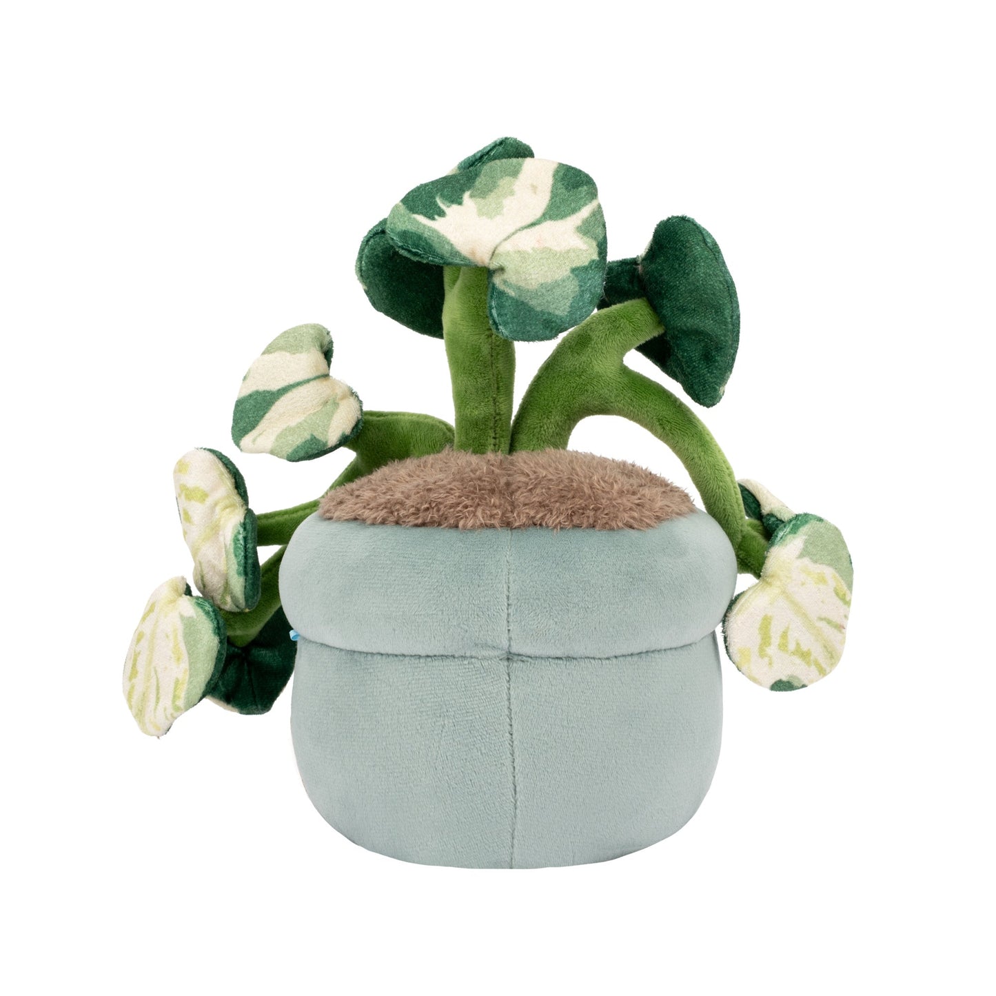 Squishmallows - Greenhouse by Russ 12" Pothos Plant Plush | Jazwares