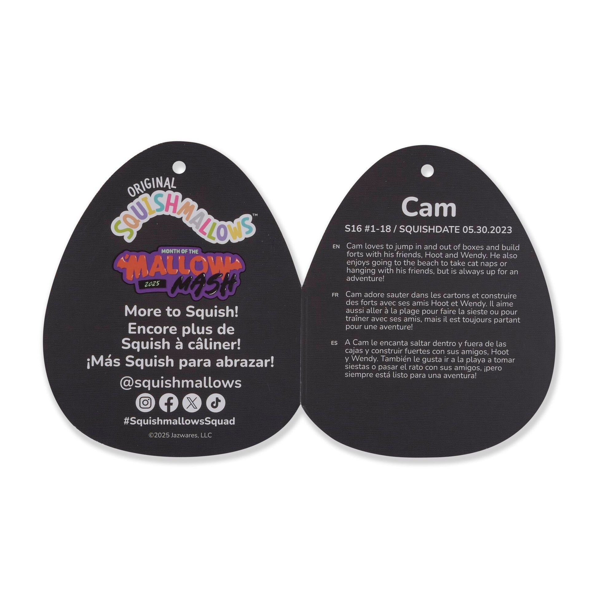 Squishmallows - Squishmallows Pumpkin Cam | Jazwares