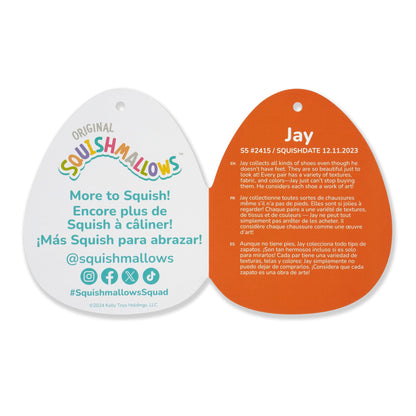 Squishmallows - Squishmallows 5" Jay the Orange Frosted Donut | Jazwares